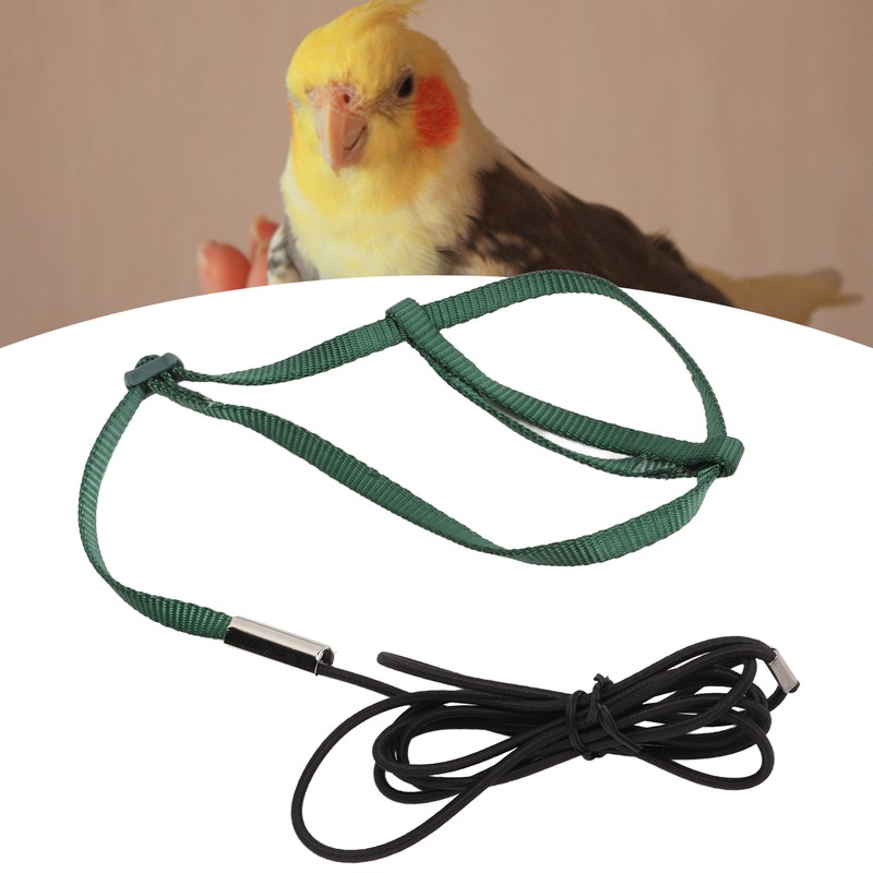 Bird Harness Leash Adjustable Elastic Flying Training Parrot Traction Rope