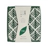 Iori Half Handkerchief Tree, 9.8 x 4.9 inches (25 x