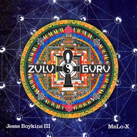 Zulu Guru (Vinyl+Mp3) [Vinyl LP]