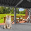 Modern Cat Catio Indoor Window Perch Waterproof Cat Box Enclosure