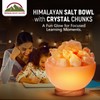 Himalayan Glow Pink Salt Bowl Night Lamp with Crystal Himalayan