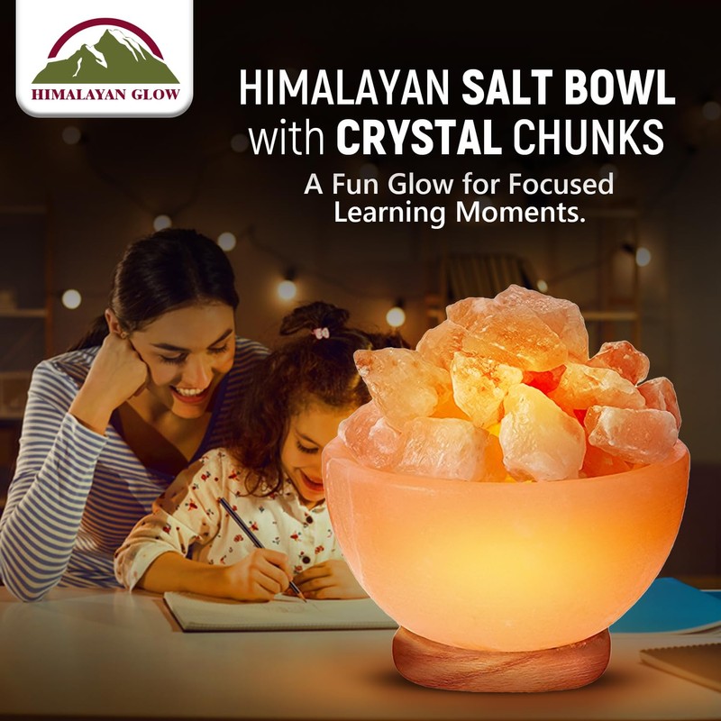 Himalayan Glow Pink Salt Bowl Night Lamp with Crystal Himalayan