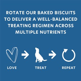 Body and Soul Peanut Butter + Apple Dog Treats – Baked Superfood Biscuits with Oats, Barley & Quinoa –All-Natural, No Fillers – Crunchy Daily Dog Treats, Made in USA, 10oz