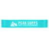 Resistance Bands for Legs and Glutes Set of 3 (Blue
