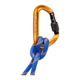 センダー スクリューゲート カラビナ / Sender Screwgate Carabiner 2040−02450 1571 gold