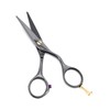 NTS-Solingen Professional Hairdressing Scissors Ergonomic Rustproof Titanium Coated 5.5 Inches