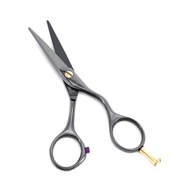 NTS-Solingen Professional Hairdressing Scissors Ergonomic Rustproof Titanium Coated 5.5 Inches = 14 cm Black Titanium