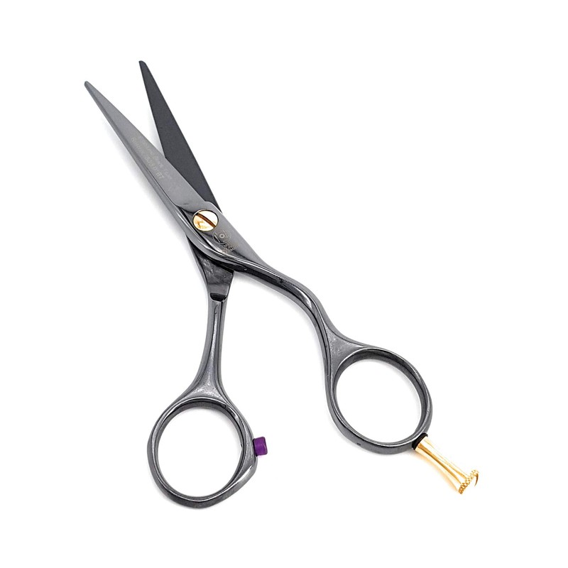NTS-Solingen Professional Hairdressing Scissors Ergonomic Rustproof Titanium Coated 5.5 Inches