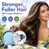 Blueberry Fields Shampoo & Conditioner, for Hair Strengthening | Blueberry