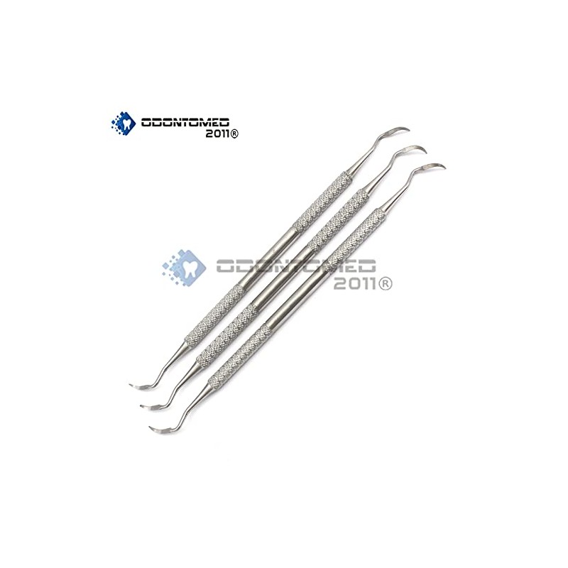 OdontoMed2011 Dental Elevator Sharp END Root TIP Pick 3 Pieces