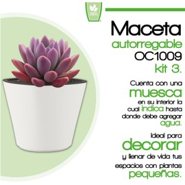 Smart Garden Maceta autorregable OC1009 Decorativa, Ovalada, Mini, Moderna, Interior. Autorriego Inteligente - Plástico ABS Anti UV (10cm de diámetro x 9cm de Alto) (3, Blanco Mate)