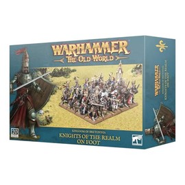 Warhammer Old World - Reino de Bretonnia - Caballeros del Reino en pie