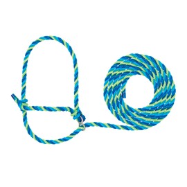 Weaver Leather Livestock Kirk Stierwalt Breaking Halter, Blue/Hurricane Blue/Lime Zest