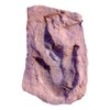 Grallator Dinosaur Footprint Track Fossil Replica with Mud Crack - 3" x 5" - Display Piece by Dinosaurs Rock
