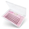 CLEAREYELASH Partial False Eyelashes, Large Capacity, 55 pcs, Korea, Natural,