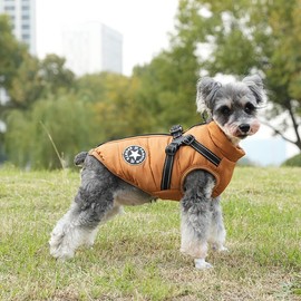 BT Bear Dogs Warm Coats, Waterproof Dog Clothes Winter Warm Vest Dog Jacket with Harness For Cats Puppy Small Dogs(Orange,M)