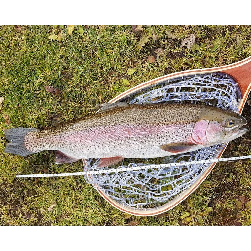 Realistic Fly Fishing……