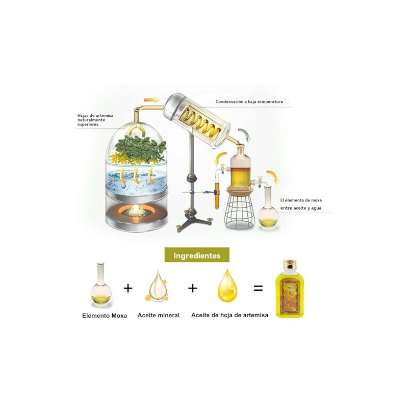 Aceite del masaje del cuerpo Moxa-moxibustion aceite Elitzia ETMO476