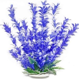 AquaTop ATP Plnt Bacopa Bl/Wh 16in