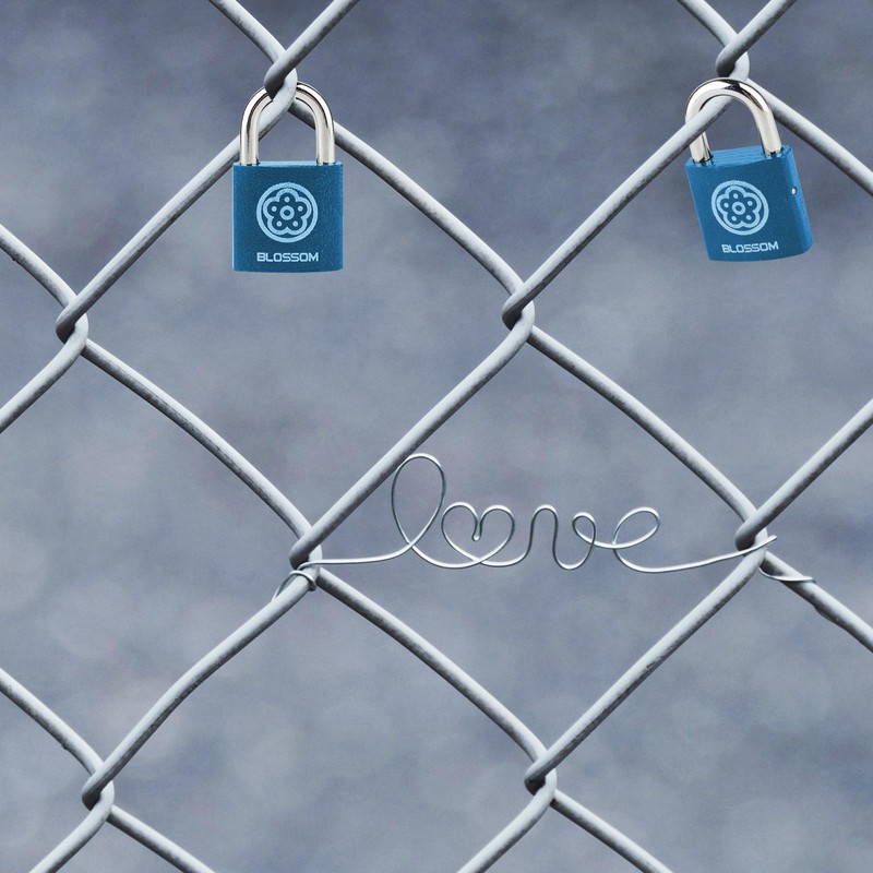 2 Pack Iron Padlock with Keys Heavy Duty Padlock High