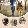 Dog Muzzle - Soft Breathable Mesh Nylon Adjustable Muzzle for