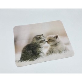 Sport & Spieleversand Cleaning Cloth for Glasses Cat with Case, cream pink