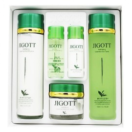 ZIGOT Wellbeing Green Tea Women’s 3-Piece Set / 지고트 웰빙 녹차 여성 3종세트