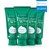 Senka 센카 퍼펙트 휩 로우 pH 카밍 시카 100g 4개 Senka Perfect Whip Low pH Calming Cica 100g 4 Packs