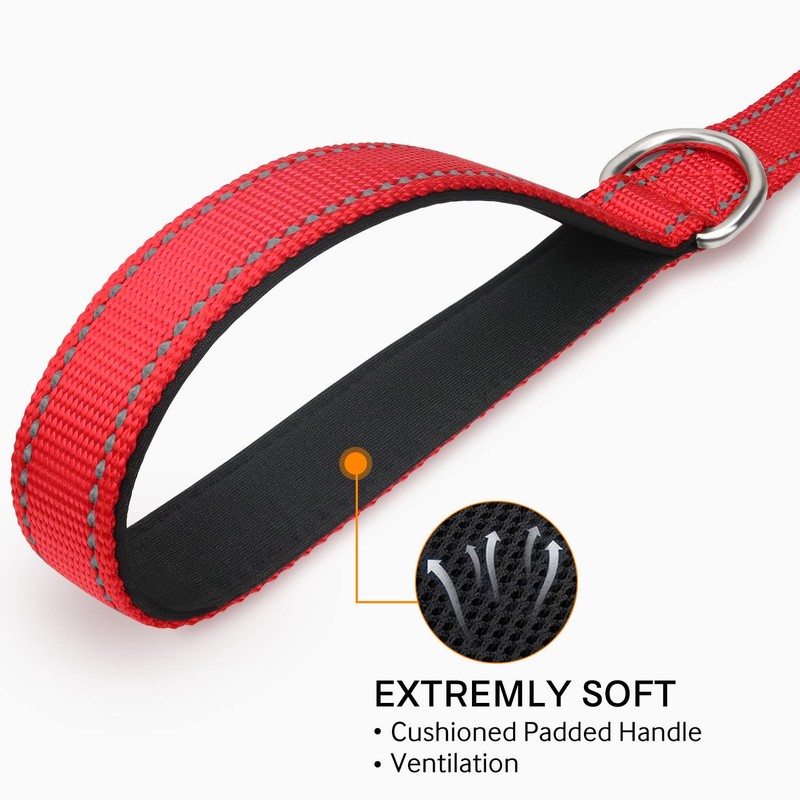 Joytale Double-Sided Reflective Dog Leash, 6 FT/5 FT/4 FT, Padded