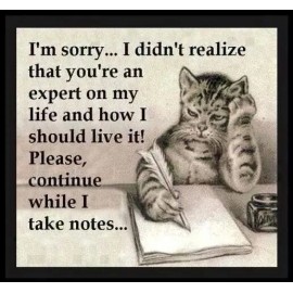 Funny Cat  refrigerator magnet 3 1/2 x 3 1/2"