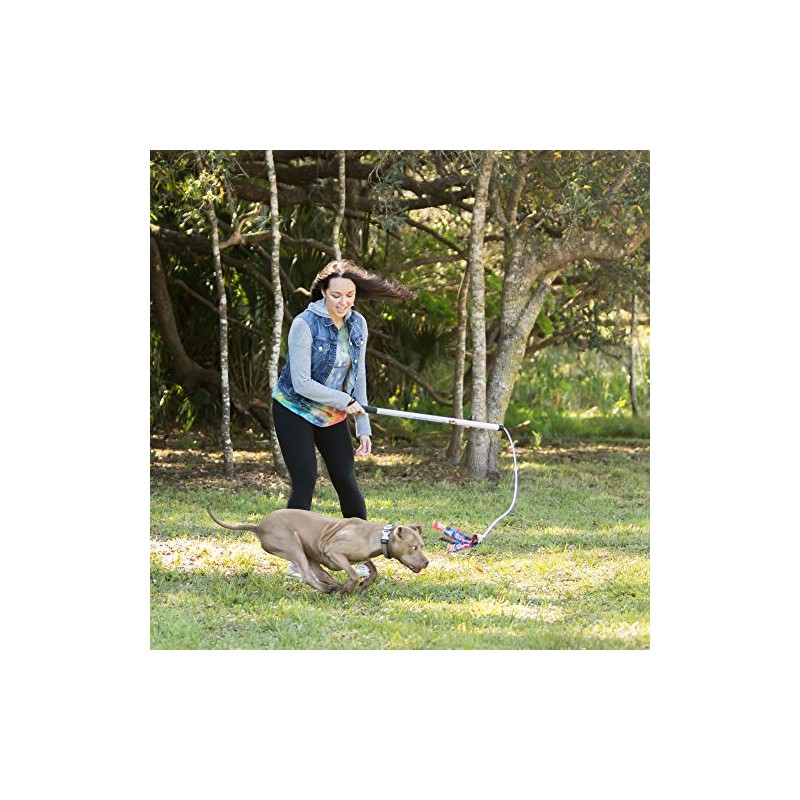 Squishy Face Studio Flirt Pole V2 with Lure - Durable