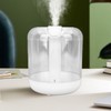 1000ml 1L Aromatherapy Diffuser Fine Spray Humidifier for Bedroom Household