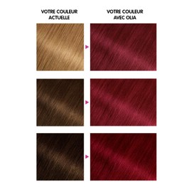 Garnier Olia Permanent Hair Dye, Ammonia-Free, Natural Flower Oils, Bright Carmine (6.66)