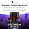 Magnesium Supplements 1000mg - Pure Magnesium Malate Capsules - Bones