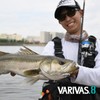 VARIVAS 8 Ocean Blue 200m 1.5