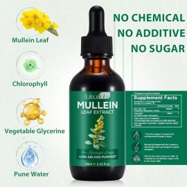 GNMart Mullein Drops for Lungs - Mullein Leaf Extract with Chlorophyll for Lung and Res