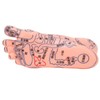 Foot acupoint model, foot point model PVC eco-friendly educational tool