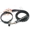 Foyscr Puppy Collar Set with Leash, Dog Collar and Leash,