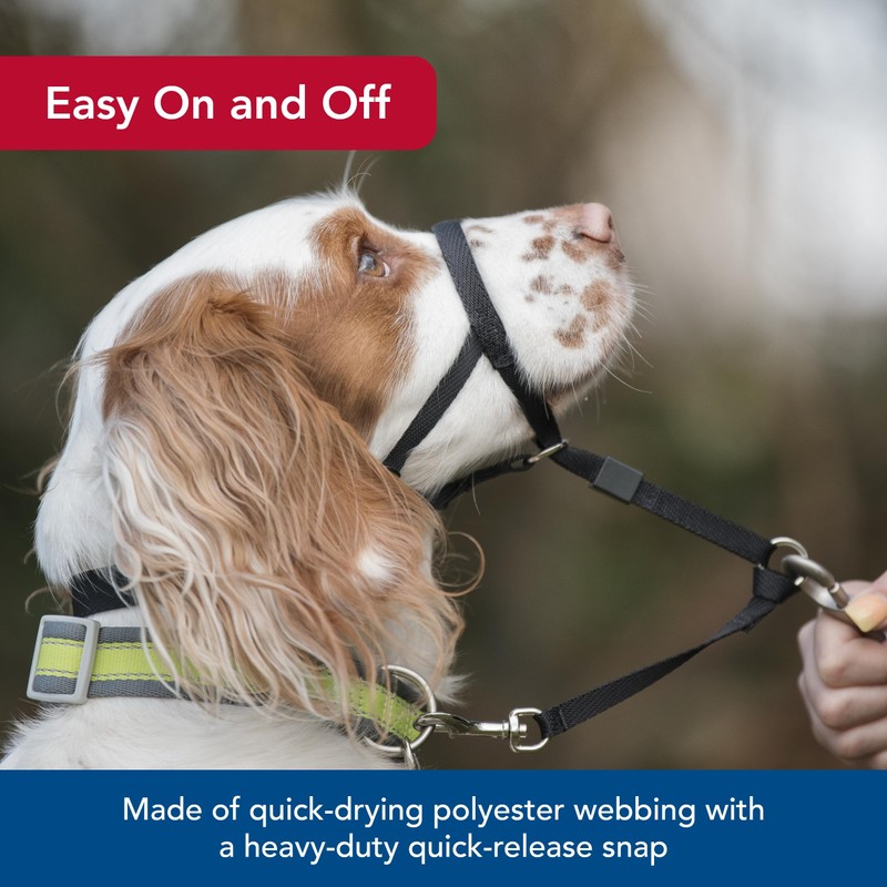 Coastal Walk'n Train Cabeza Halter, Negro, Mediano