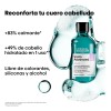 Shampoo Anti Irritacin LOral Professionnel Scalp 300ml