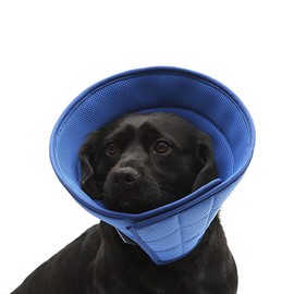 HanryDong Dog Elizabethan Collar, Cat Soft Recovery Cone, Quicker Healing Pet Comfy Adjustable E-Collar, Easy Eat, Sleep, Anti-Bite/Lick for Cat, Dog, Rabbit