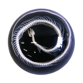 REALBUG Snake sketelon Dome