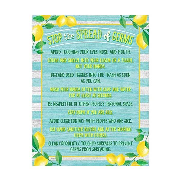 Lemon Zest Stop The Spread of Germs Chart