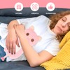 Cute Heating Pad Microwavable Stuffed Animals, Pink Pig 1.4lb Removable