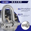 GOODRIG Stainless Steel D-shaped Shackles, Set of 10 (5MM)
