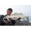 JACKALL Big Backer Fall Trick 103 Sardine 4.0 inches (103
