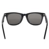 Pacific Coast Blues Brothers Glasses (Black Frame/Smoke Lens)