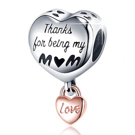 LONGLUCK 925 Sterling Silver Charms for Bracelets Necklaces Dangle Pendant With 5A Cubic Zirconias Bead Charm for Women DIY Jewelry