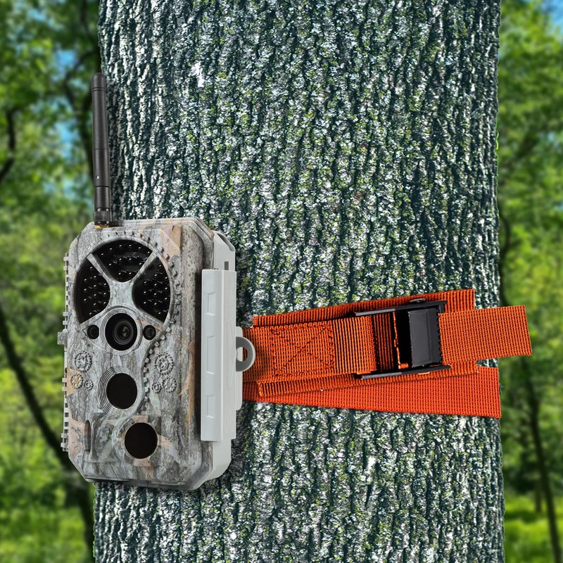 6.6ft Lashing Straps with Adjustable Cam Buckles Tie Down Cinch