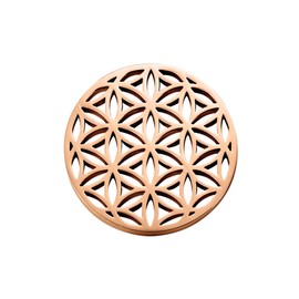 Quiges Interchangeable Coin Made of Stainless Steel 25 mm Geometric Flower Pattern for Coin Pendant, Stainless Steel